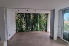 puertas-201224-6